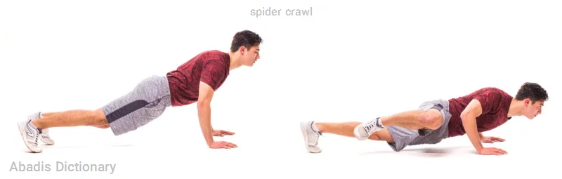 spider crawl